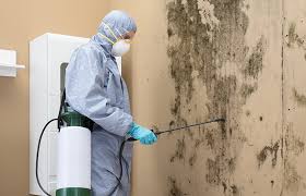 Mold Odor Removal Services in Rainelle, WV